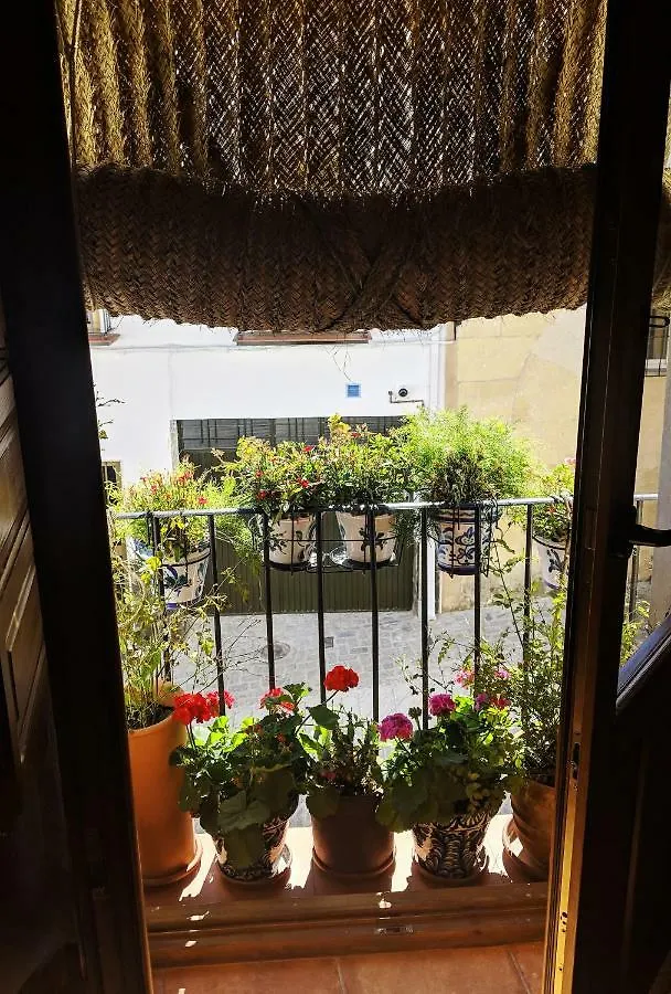 Bed and Breakfast Atelier 88 Alcalá la Real 3*,  Spanien